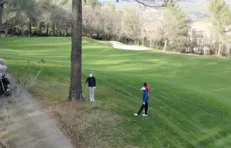 Collé à un arbre