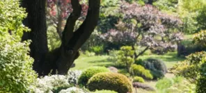 Le jardin zen d'Erik Borja